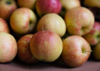 PRESS RELEASE: Virginia Food Banks and Local Farmers Partner to Distribute Thousands of Pounds of Apples to Families in Need This Holiday Season