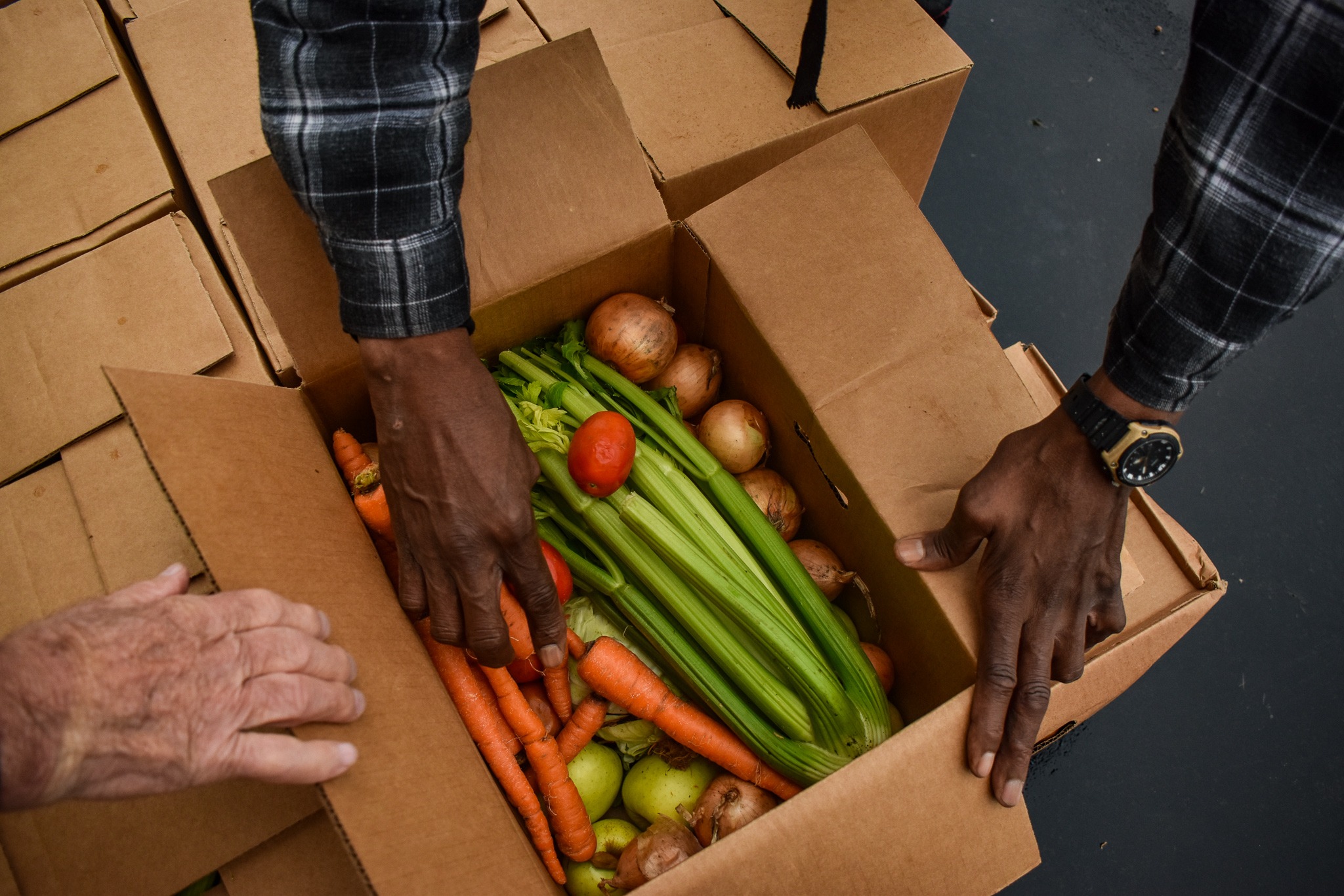 Produce at a mobile pantry in Michigan.