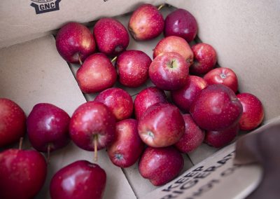 Virginia food banks see spike in need for families